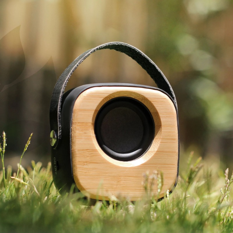 Bamboo wireless Speaker